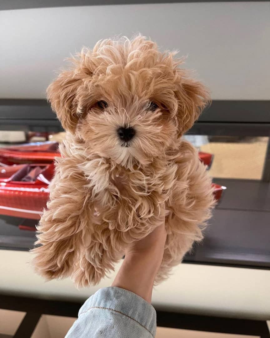 WhatsApp Image 2025-09-27 at 08.38.27